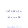 306,864 visitas